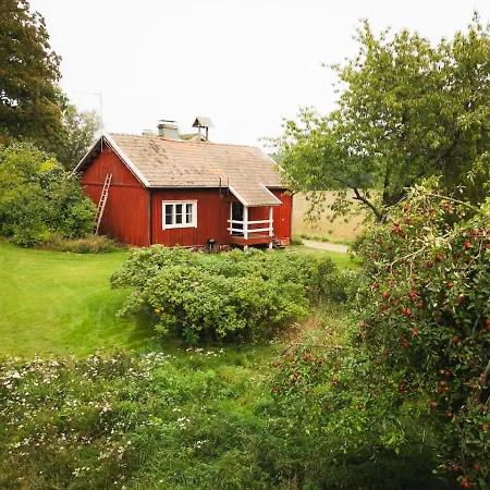 The Carpentry Tatil Evi